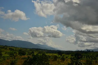 DSC_4387 (Large).JPG